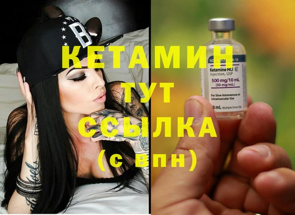 стаф Верея