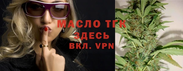 СК Вяземский