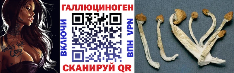 Галлюциногенные грибы MAGIC MUSHROOMS  закладки  Заозёрный 